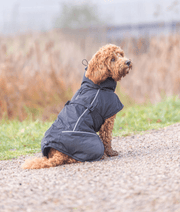 Trixie - Brizon Winter Coat For Dogs