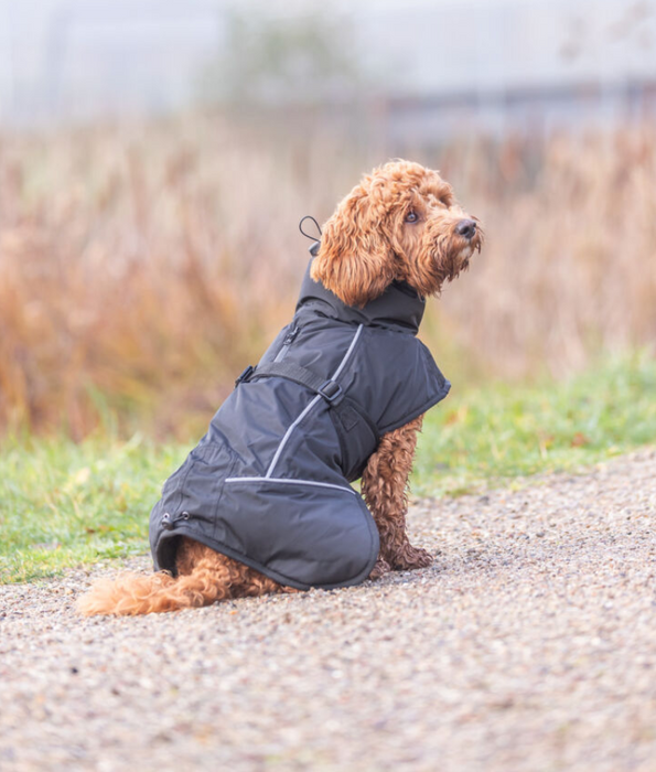 Trixie - Brizon Winter Coat For Dogs