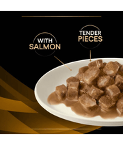 Purina Pro Plan Veterinary Diets Feline NF Renal Function - Salmon 85g