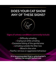Purina Pro Plan Veterinary Diets Feline UR (Urinary) With Chicken 85g