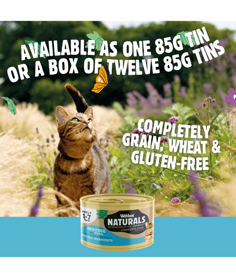 Webbox Naturals Tuna Mousse Wet Cat Food 85g
