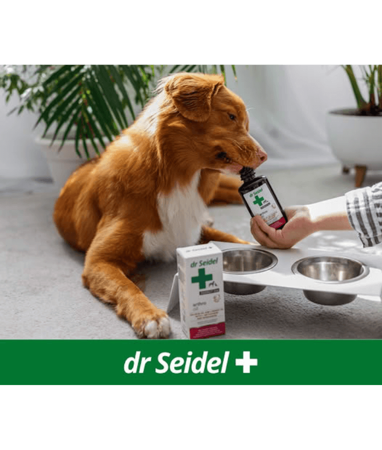Dr Seidel - Arthro Oil, Salmon Oil, Linseed Oil, Chondroitin, Joint Support - 250ml