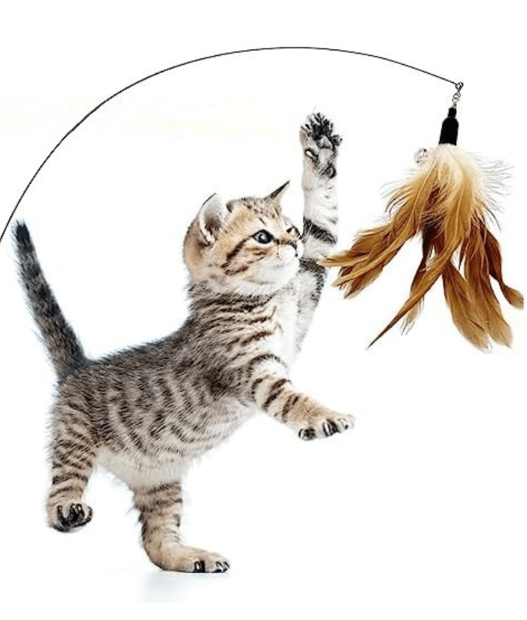 Pet Interest - Dancer Stick with Silvervine & Feathers Cat Teaser Toy