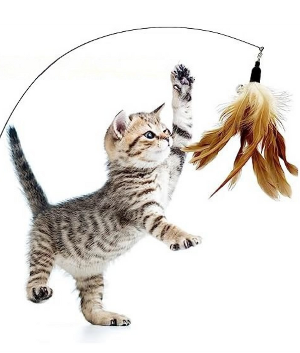 Pet Interest - Dancer Stick with Silvervine & Feathers Cat Teaser Toy