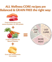 Wellness Core Adult Ocean Salmon and Tuna Medium&Large Breed 1.8kg-10 kg