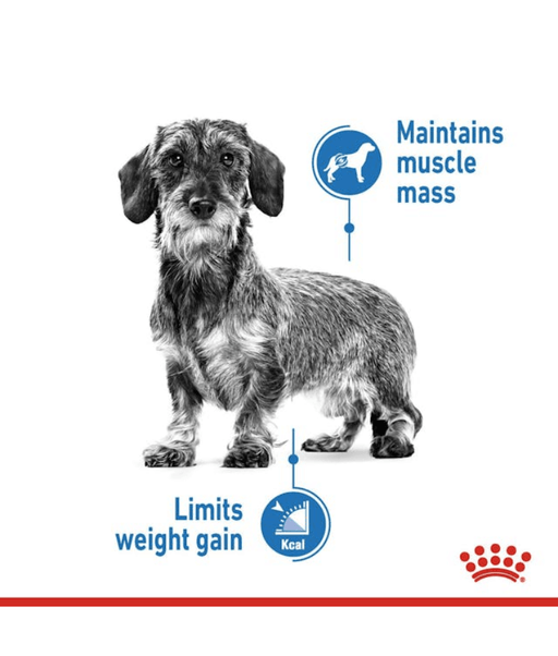 Royal Canin Mini Light Weight Care 3kg