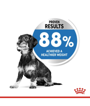Royal Canin Mini Light Weight Care 3kg