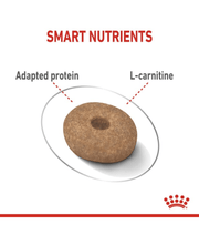 Royal Canin Mini Light Weight Care 3kg