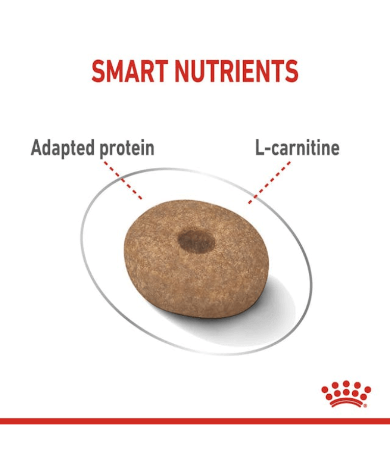 Royal Canin Mini Light Weight Care 3kg