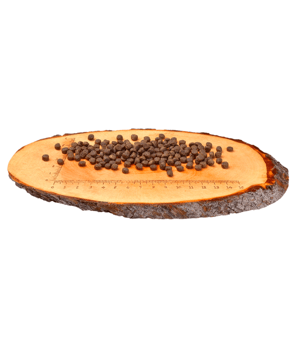 Carnilove Carnilove - Salmon & Turkey for Kittens 2kg