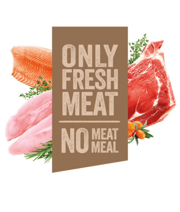Carnilove True Fresh - Fresh Fish with Chickpeas and Apples 11.4 kg