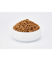 Wellness Core Dry Cat Food - Sterilized Chicken & Turkey Dry Cat Food – Weight Control, Hairball Support, Grain-Free 1.75kg