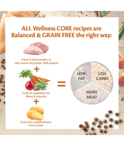 Wellness Core Dry Cat Food - Sterilized Chicken & Turkey Dry Cat Food – Weight Control, Hairball Support, Grain-Free 1.75kg
