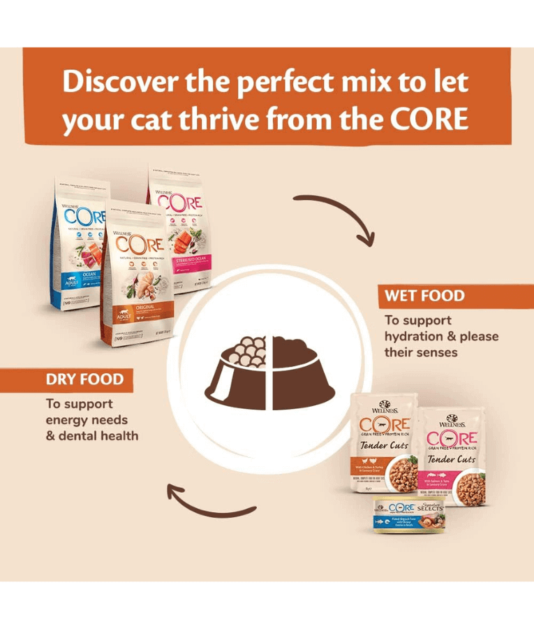 Wellness Core Dry Cat Food - Grain-Free Adult Original – High-Protein Chicken & Turkey , Hairball Control & Lean Body Support 1.75kg