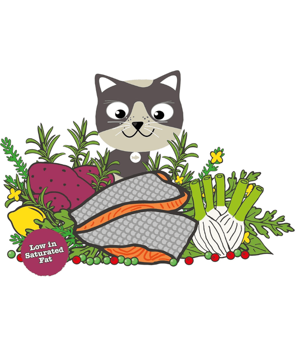 Little Big Paw Little Big Paw - Atlantic Salmon Complete Dry Food for Senior Cats 1.5kg