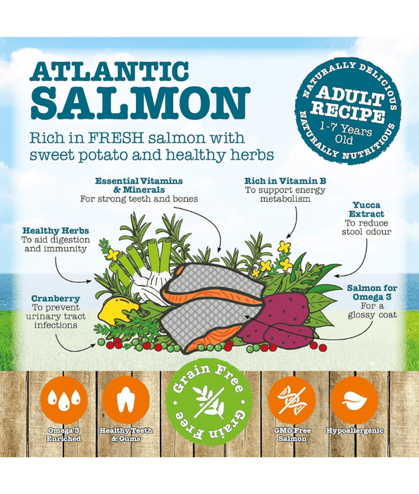 Little Big Paw Little Big Paw - Atlantic Salmon Complete Dry Food for Adult Cats 1.5kg