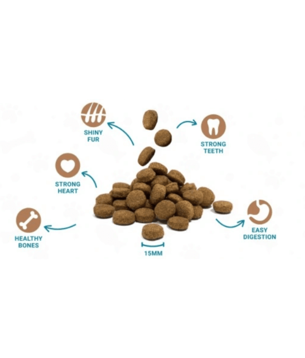 Divinus - Complete 20kg