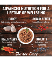 Wellness CORE Tender Cuts Chicken & Chicken Liver in Savory Gravy 85g