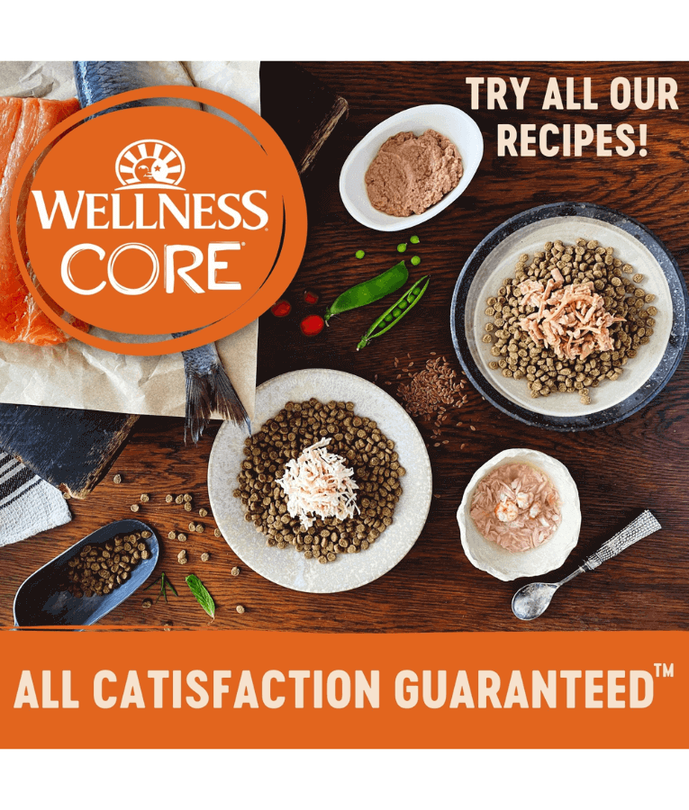 Wellness CORE Tender Cuts Chicken & Chicken Liver in Savory Gravy 85g