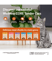 Wellness CORE Tender Cuts Chicken & Chicken Liver in Savory Gravy 85g