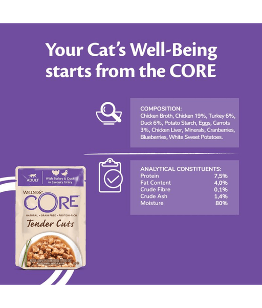 Wellness CORE Tender Cuts Turkey & Duck in Savory Gravy 85g
