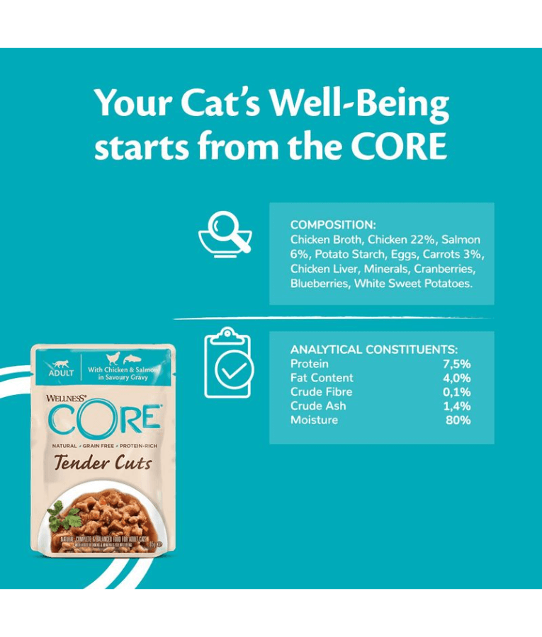 Wellness CORE Tender Cuts Chicken & Salmon in Savory Gravy 85g