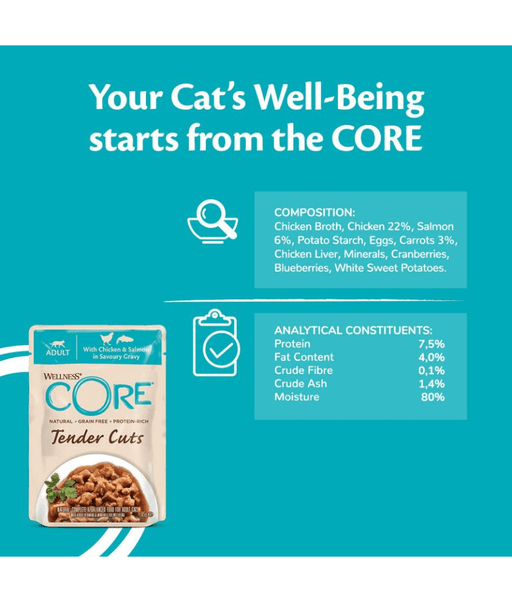 Wellness CORE Tender Cuts Chicken & Salmon in Savory Gravy 85g
