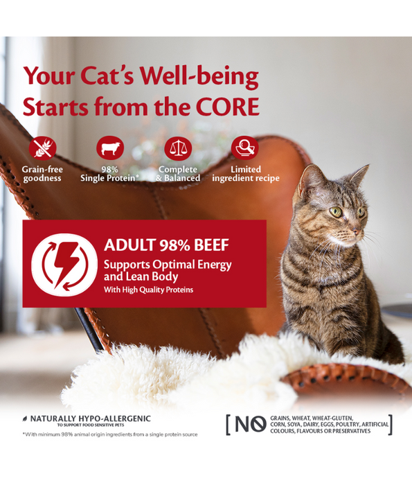 Wellness Core 98% Single Protein Beef - 85g