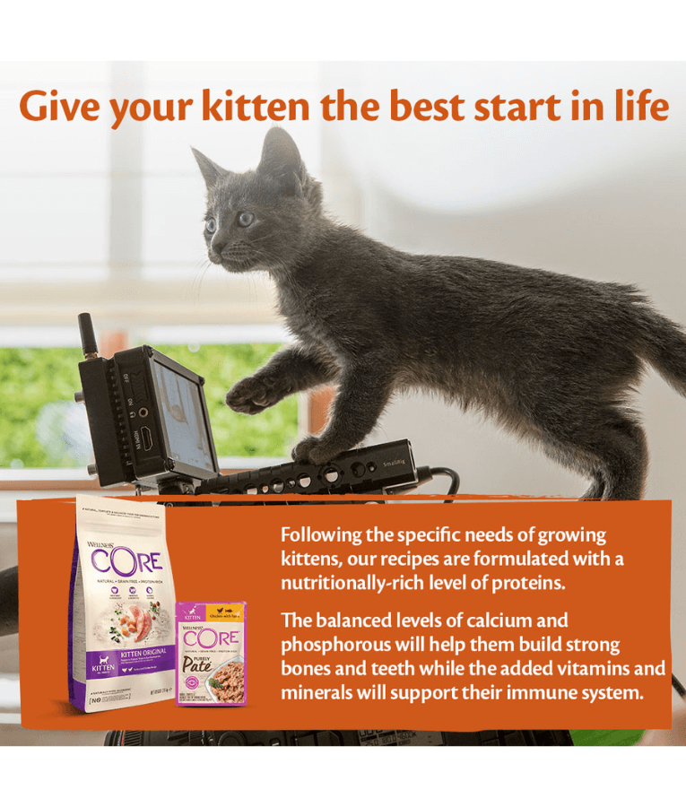 Wellness CORE Kitten Purely Pate Chicken With Tuna Wet Food 85g