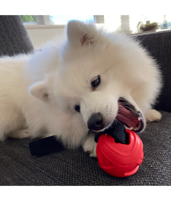 GiGwi Go Fetch Rubber Slinger Balls