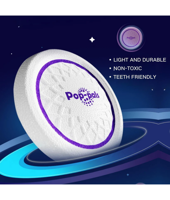 GiGwi Pop Pals Everlasting Flying Disc