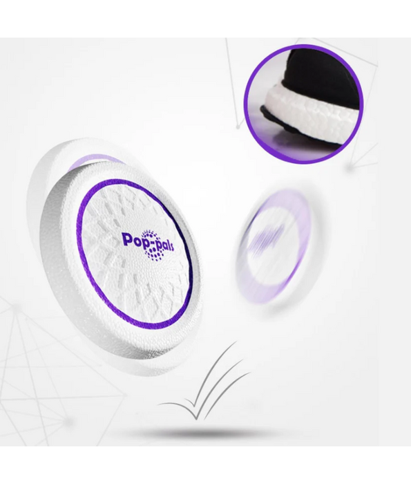 GiGwi Pop Pals Everlasting Flying Disc