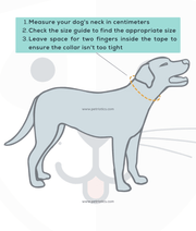 Instructions for measuring a dog's neck for collar size in centimeters with a dog illustration.