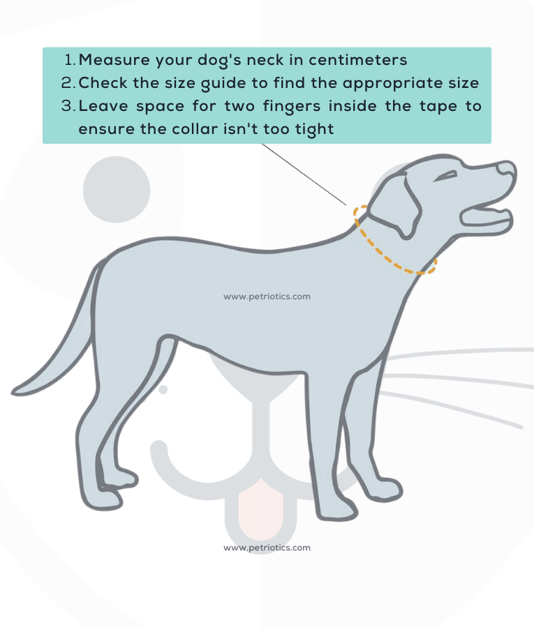Instructions for measuring a dog's neck for collar size in centimeters with a dog illustration.