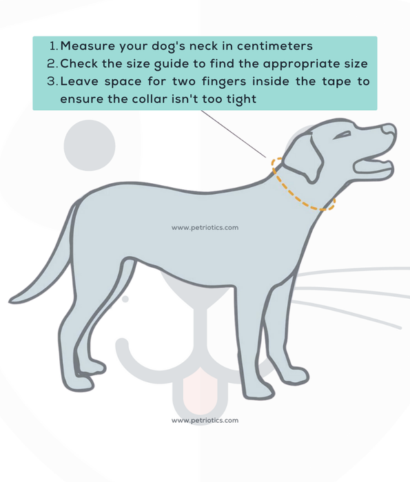 Duvo - Explor North Dog Collar Taupe (S-M-L-XL)