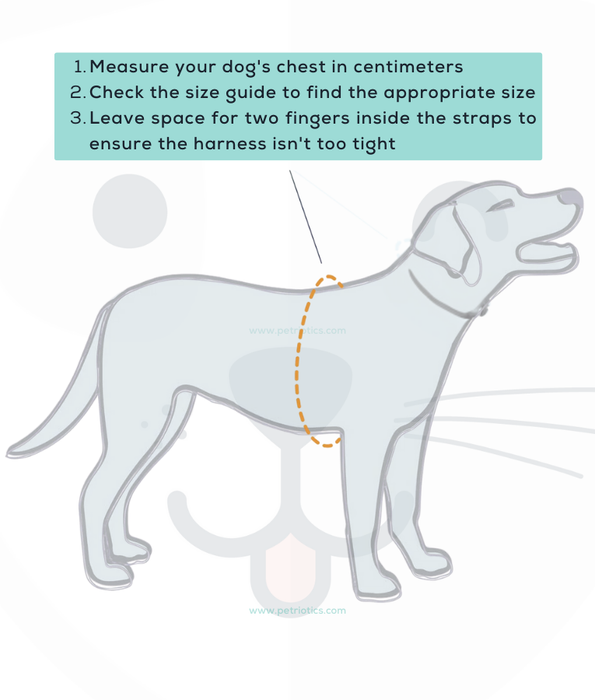 Pawise Design Strap Harness
