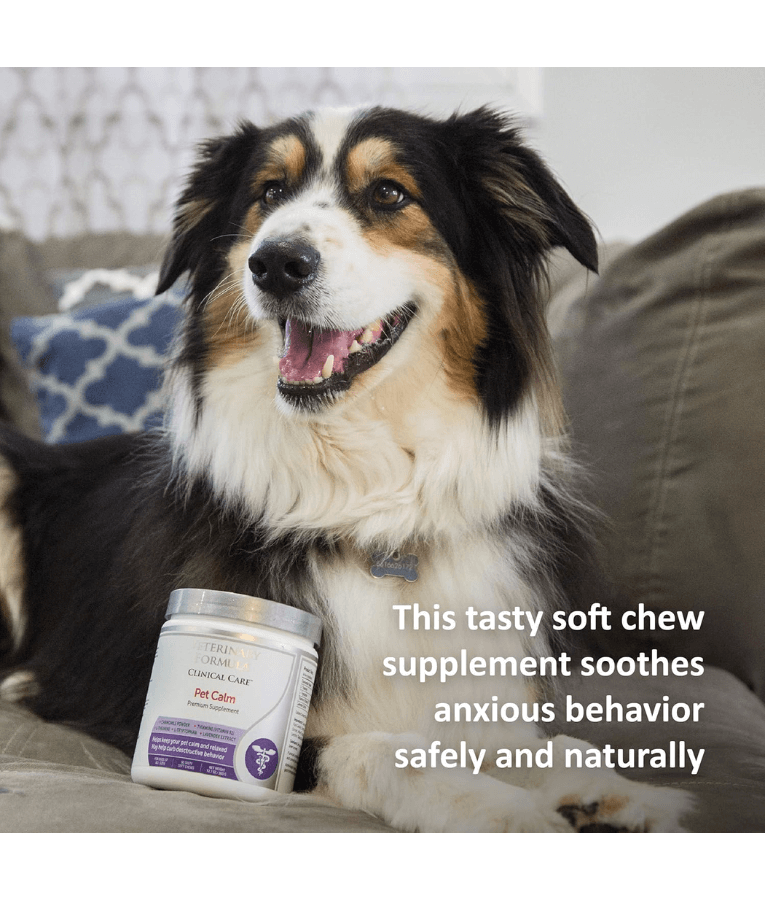 Synergy Labs - Veterinary Formula Solutions, Pet Calm Plus Supplement For Dogs - 45 Soft Chews