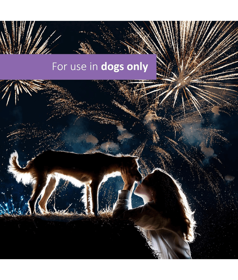 Synergy Labs - Veterinary Formula Solutions, Pet Calm Plus Supplement For Dogs - 45 Soft Chews