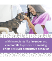 Synergy Labs - Veterinary Formula Solutions, Pet Calm Plus Supplement For Dogs - 45 Soft Chews