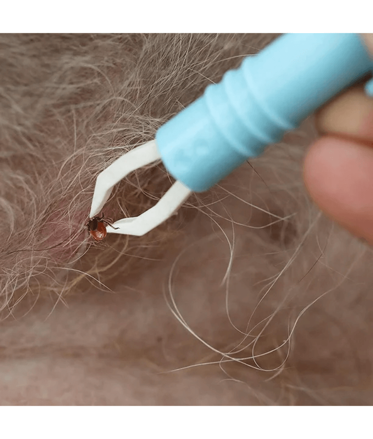 Duvo - Tick Remover