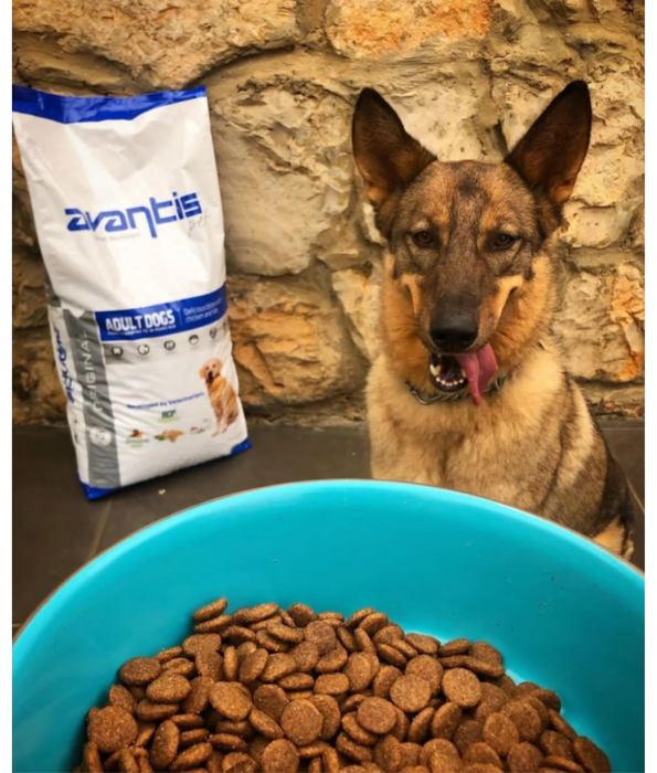 Avantis Pet - Original With Pork for Adult Dog 3kg-15kg