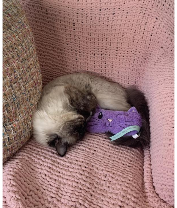 Kong - Cat Comfort Valerian