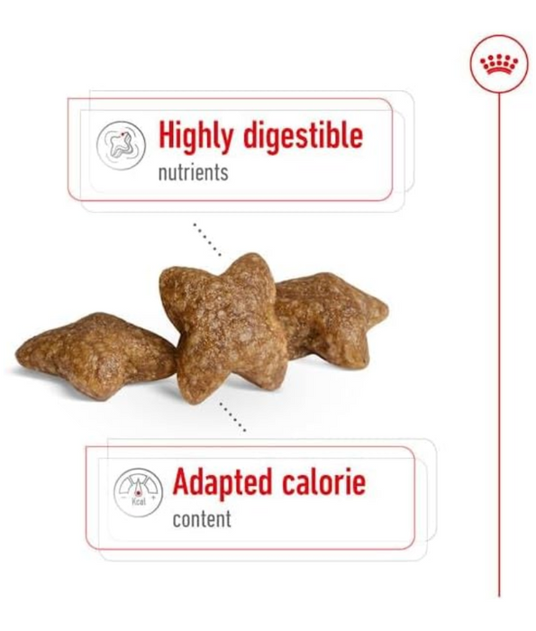 Royal Canin Mini Adult 2kg-4kg