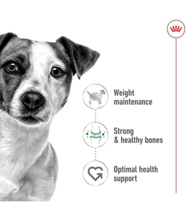 Royal Canin Mini Adult 2kg-4kg
