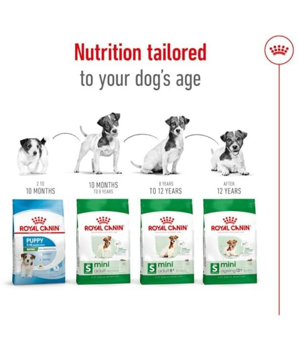 Royal Canin Mini Adult 2kg-4kg