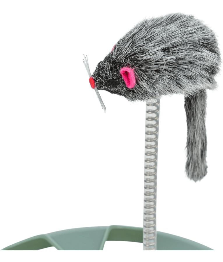 Trixie - Crazy Circle - Exercise Toy - with Plush Mouse