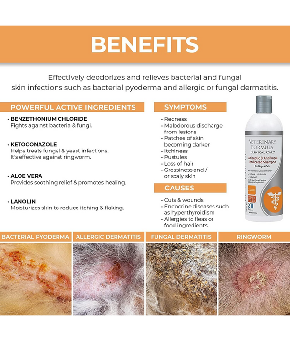 Synergy Lab - Veterinary Formula Clinical Care Antiseptic and Antifungal Shampoo for Dogs and Cats