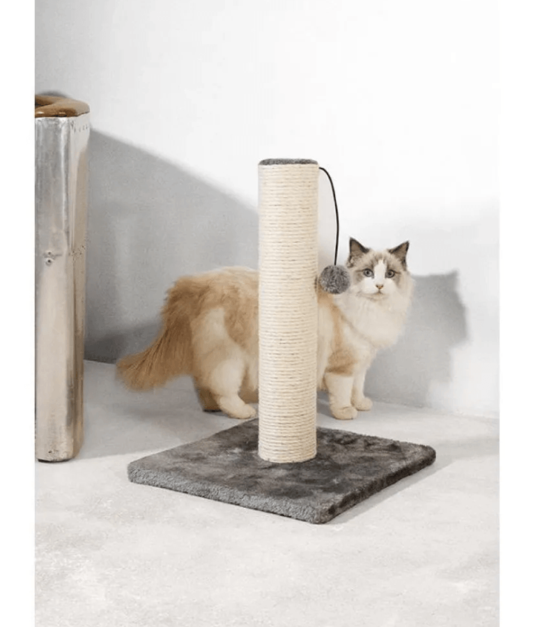 Pawise – Super Strong Scratching Post L33xW33xH47 cm