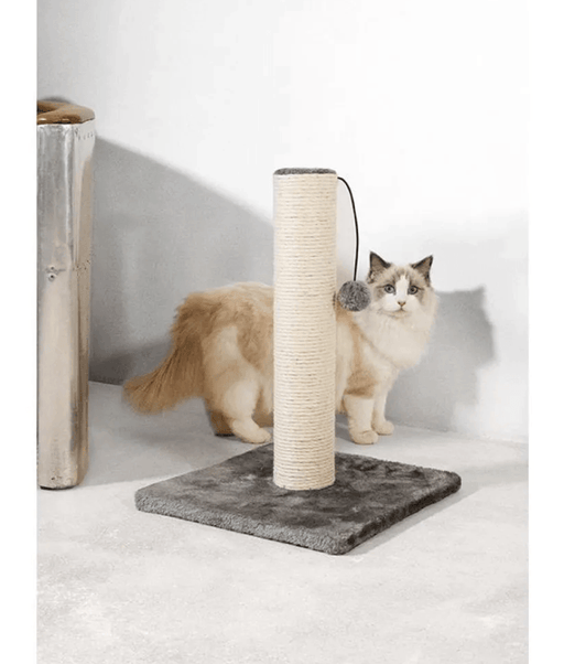 Pawise – Super Strong Scratching Post L33xW33xH47 cm