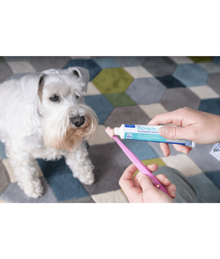 Virbac - C.E.T. Enzymatic Oral Hygiene Kit, Dual-Enzyme Toothpaste, Dual-Ended & Finger Toothbrush, Poultry Flavor - 70 g